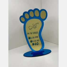 درع معلومات الطفل بدون صورة