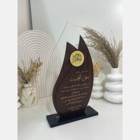 درع المعلم 2