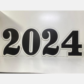 2025 تصوير