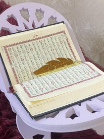 فاصل مصحف ريشة