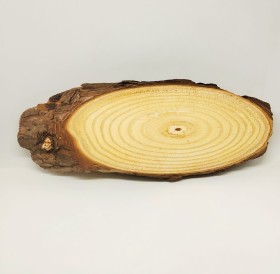 قطعة جذع خشبية للديكور