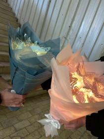 باقة فراشات مضيئة